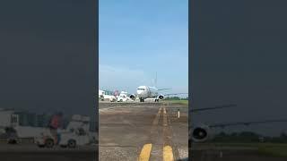 My indo airlines pushback