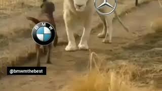 Bmw vs mers vs audi