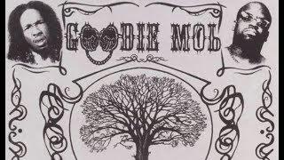 Goodie Mob - Fly Away