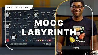 Exploring Generative Synthesis with the Moog Labyrinth