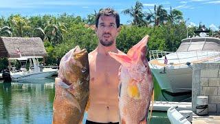 Spearfishing for Big male HogFish ... 11 POUNDS at 80ft after Hurricane Helene !