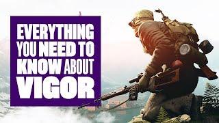 Everything You Need To Know About Vigor