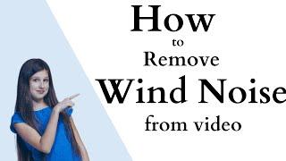 How to Remove Wind Noise from a Video?