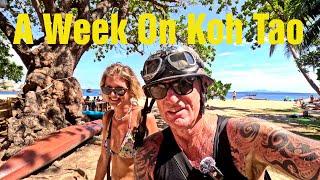 A Week In My Life On Koh Tao Thailand #vloggingadeadhorse