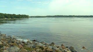 DNR confirms Invasive Algae in Medicine Lake