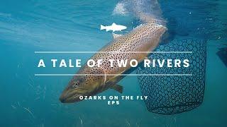 Ozarks on the Fly | EP 5 | A TALE OF TWO RIVERS