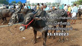 ஈரோடு கருங்கள்பாளையம் மாட்டுசந்தை விலைநிலவரம்  11.10.2023