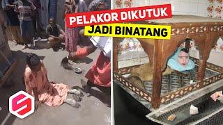 ORANG INI DIKUTUK JADI BINATANG? Setengah Badan Berubah Jadi Binatang..