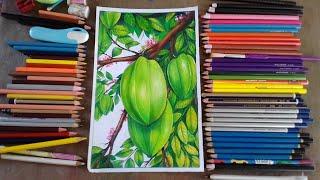 How to drawing carambola/camranga