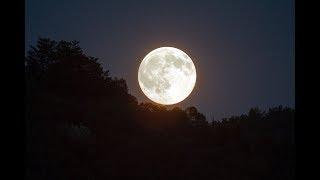 FULL MOON VIDEO HD | Free Stock Footage | Free HD Video - no copyright