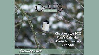 The 2025 Cole's Calendar Is Beautiful. Learn More About This Photo for January 2026.