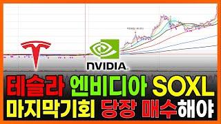 테슬라 엔비디아 SOXL 마지막기회 당장 매수해야, 반드시 봐야