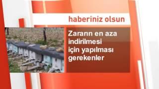 Haberiniz Olsun 13