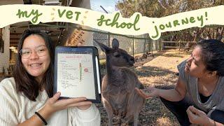 My Vet School Journey// a-level results, animal experience, stats, Singaporean vet student