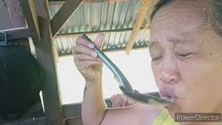 Suellen ilonggang bisaya,Country side life vlog especial dish ,Tinolang Manok #countrysidelife