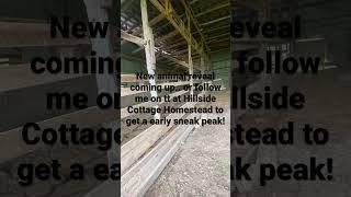 YES! We are so excited!#farm#newstart#restart#animals#farmlife#homestead#happy#goodnews#announcement