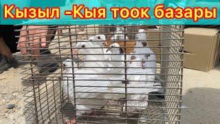 Тоок базар кызыдыго бугун 14-Июль