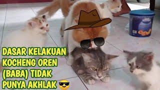 DASAR KELAKUAN KOCHENG OREN (BABA) TIDAK PUNYA AKHLAK 