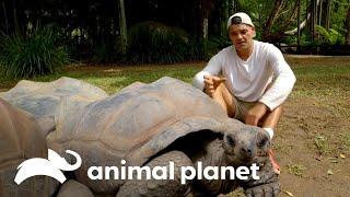 Frank visita importantes santuarios animales por el mundo | Wild Frank | Animal Planet