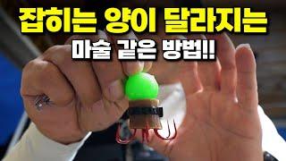 쭈꾸미 낚시 초보자가 고수가 되는 기가 막힌 방법!! [박과장TV]