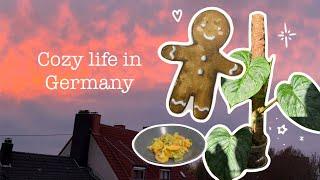 Cozy life in Germany | handpoke tattoo, art, cooking and plants