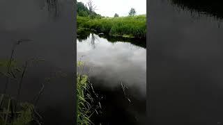 Рыбалка на реке#результат в полном видео!