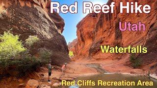 Red Reef Hike at Red Cliffs Recreation Area