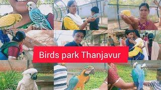 Rajali birds park Thanjavur/ christmas vlog/ Trichy namma veetu channel