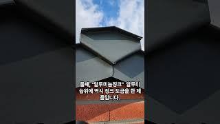 징크패널 이것만 알고 선택하세요