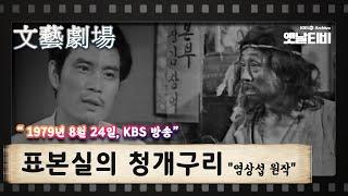 [문예극장] 표본실의 청개구리 | (1979/08/24)