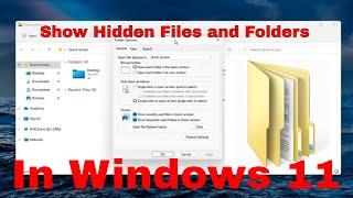 How to Find Hidden Files on Windows 11 [Tutorial]