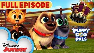 Halloween Full Episode  | The Pumpkin King | S5 E15 Part 1 | Puppy Dog Pals | @disneyjr