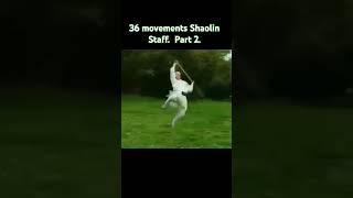 36 movements Shaolin Staff. Part 2 #kungfu #martialarts #shaolin #staff