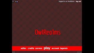 How to setup Owl Realms source (Rotmg pserver)