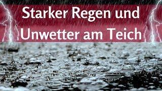 Unwetter und Regen - Was bedeutet das für Teich und Fische? Karbonathärte im Auge behalten