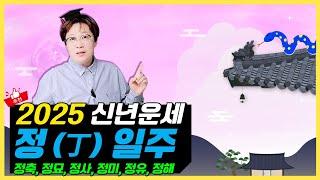 2025 을사년 신년운세 - 정(丁) 일주