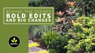 Behind the Scenes in my Portland Garden: Bold Edits of Big Shrubs