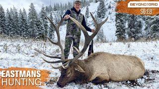 Giant Bulls on Public Land! Backcountry Elk Hunt with Guy Eastman