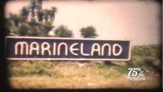 Historic Marineland 1950 - Share Your Story