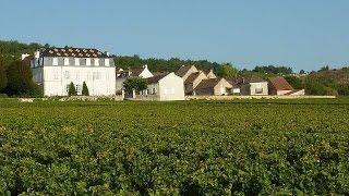 JT spécial vendanges 2014 sur France 3 Bourgogne