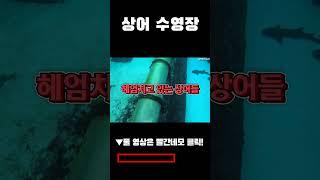 오빠..바다 가자며..근데 여긴 뭐야?