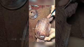 Новый деревянный чайник из обычного куска дерева  #wood #shorts
