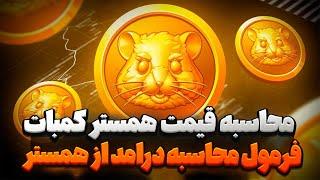 اگر میخوای بدونی از همستر چقدر بهت پول میرسه این ویدیو رو ببین | قیمت دقیق همستر کمبات