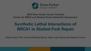 Synthetic Lethal Interactions of BRCA1 in Stalled-Fork Repair | 2023 BRCA Scientific Symposium