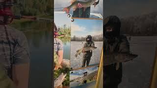 Мои Трофеи и самый ловчие приманки на одной доске. #щука #fishing #рыбалка #спининг #окунь #хакасия