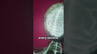 07 Brain Bytes  Decoding the Human Brain #neuroscience #brain #neurology