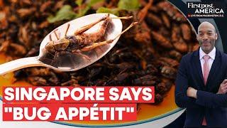 Singapore Introduces Edible Insects in Food Menus | Firstpost America