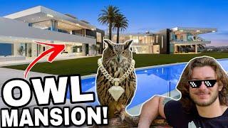 Owl gets NEW Home!!