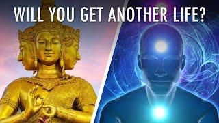 Is Reincarnation Real? | Unveiled