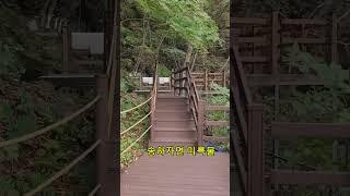 송하자연미륵불, 영양기도터 공개,  무당, 인연성불, 애동제자,